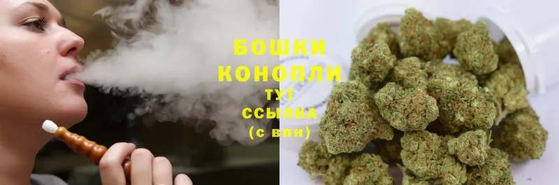 цены наркотик  Иланский  Бошки Шишки THC 21% 